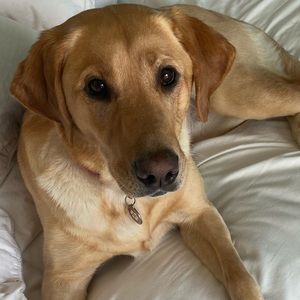 Meet your Posher, Mackenzie